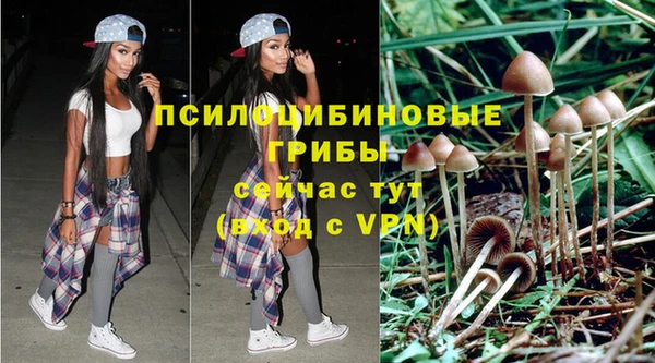 гашиш Новокубанск