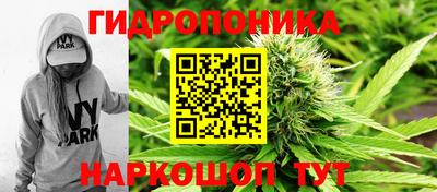мдпв Абакан