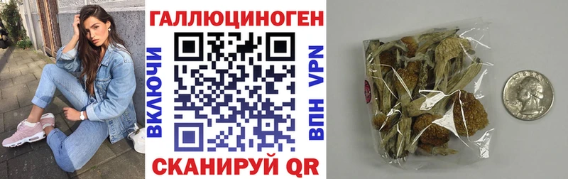 Псилоцибиновые грибы прущие грибы  Кольчугино 