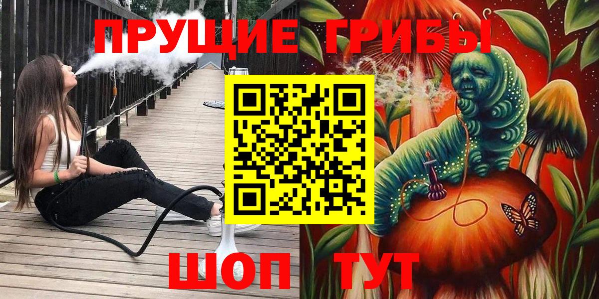 Псилоцибиновые грибы GOLDEN TEACHER Кольчугино
