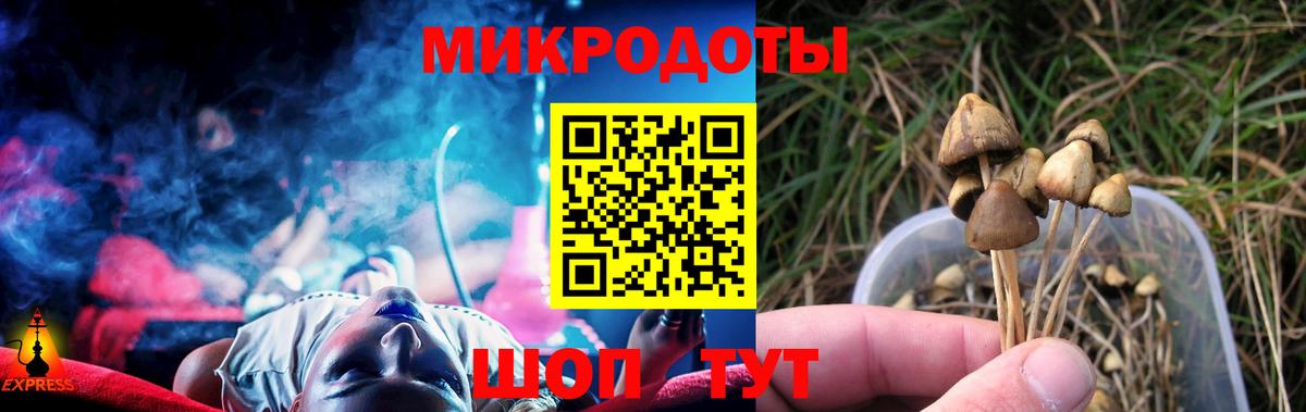 Псилоцибиновые грибы MAGIC MUSHROOMS  Вход с VPN  Кольчугино 
